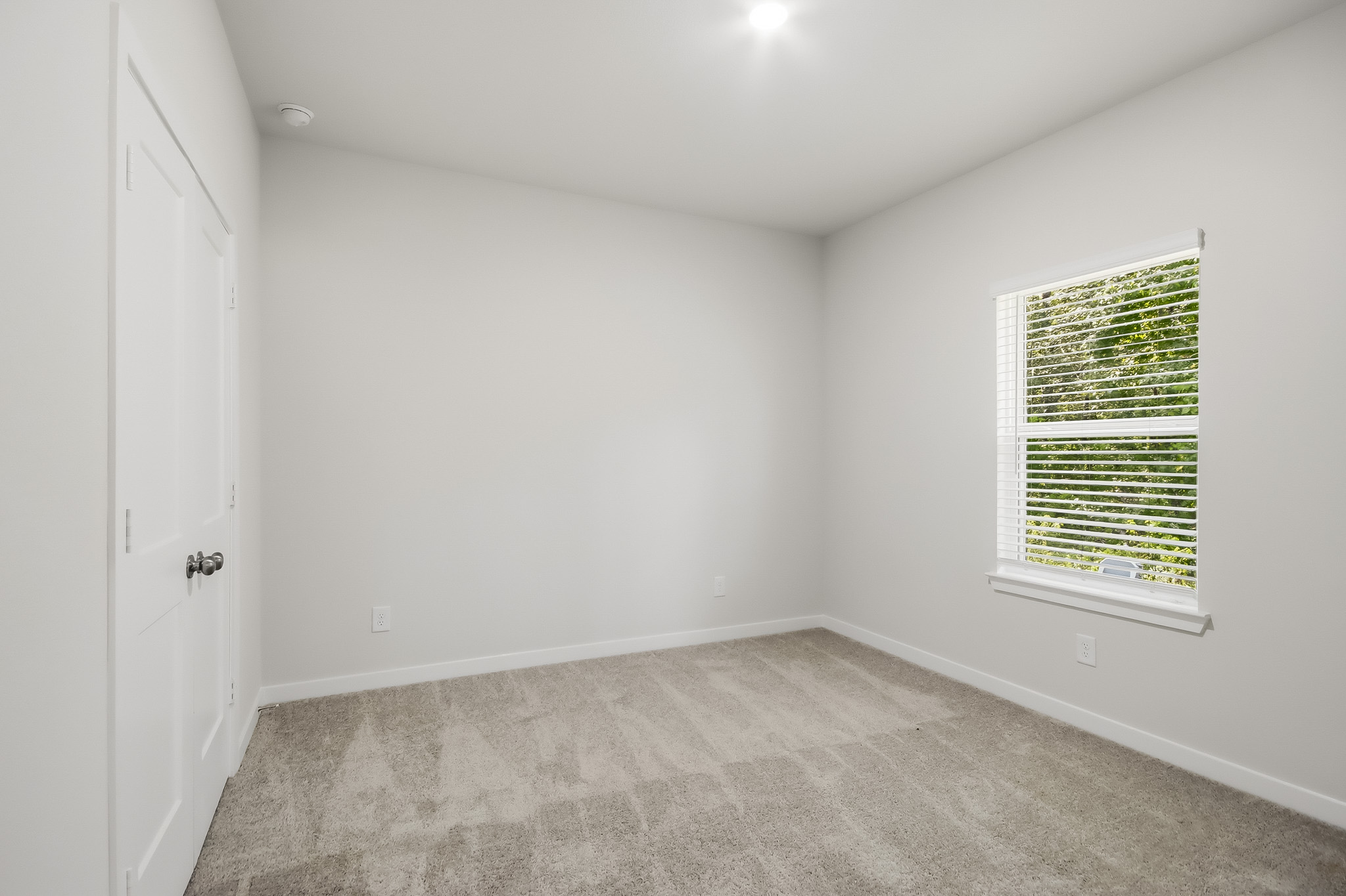 A room with a carpet and windows.