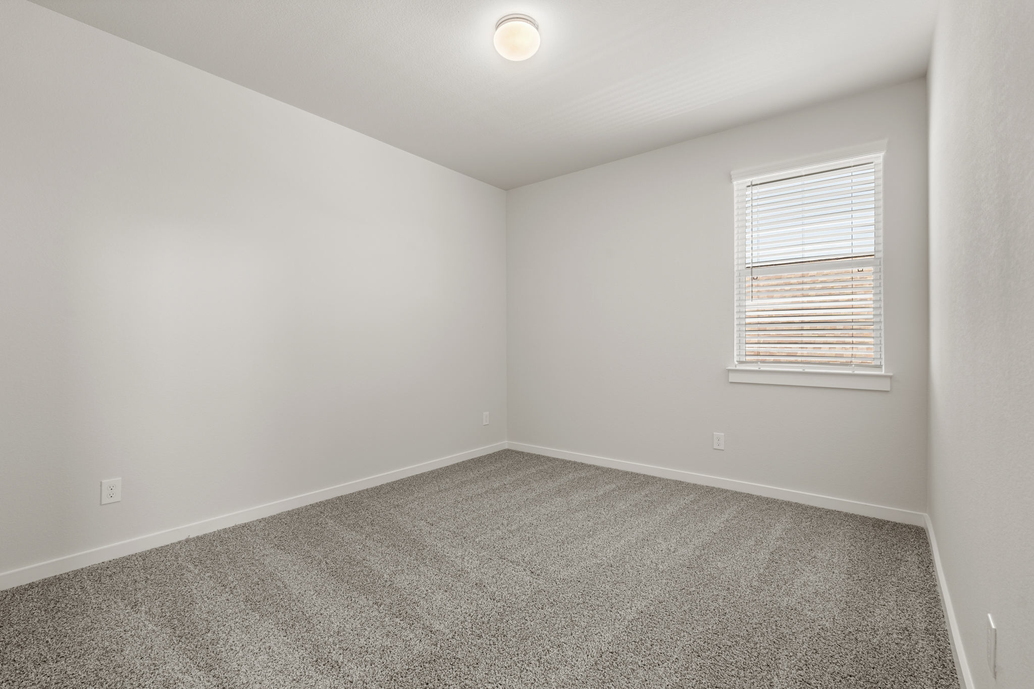 A room with a carpet and a window.