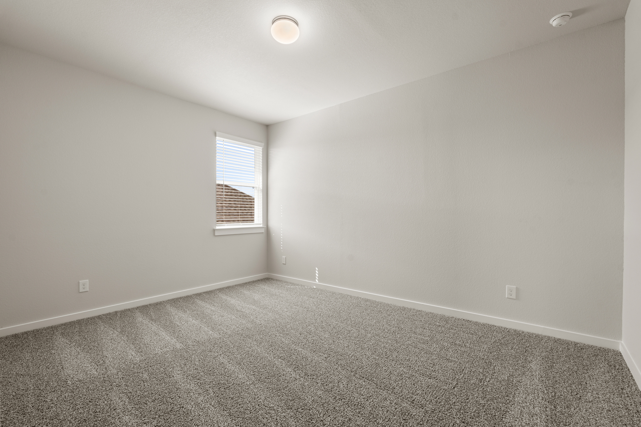A room with a carpet and a window.