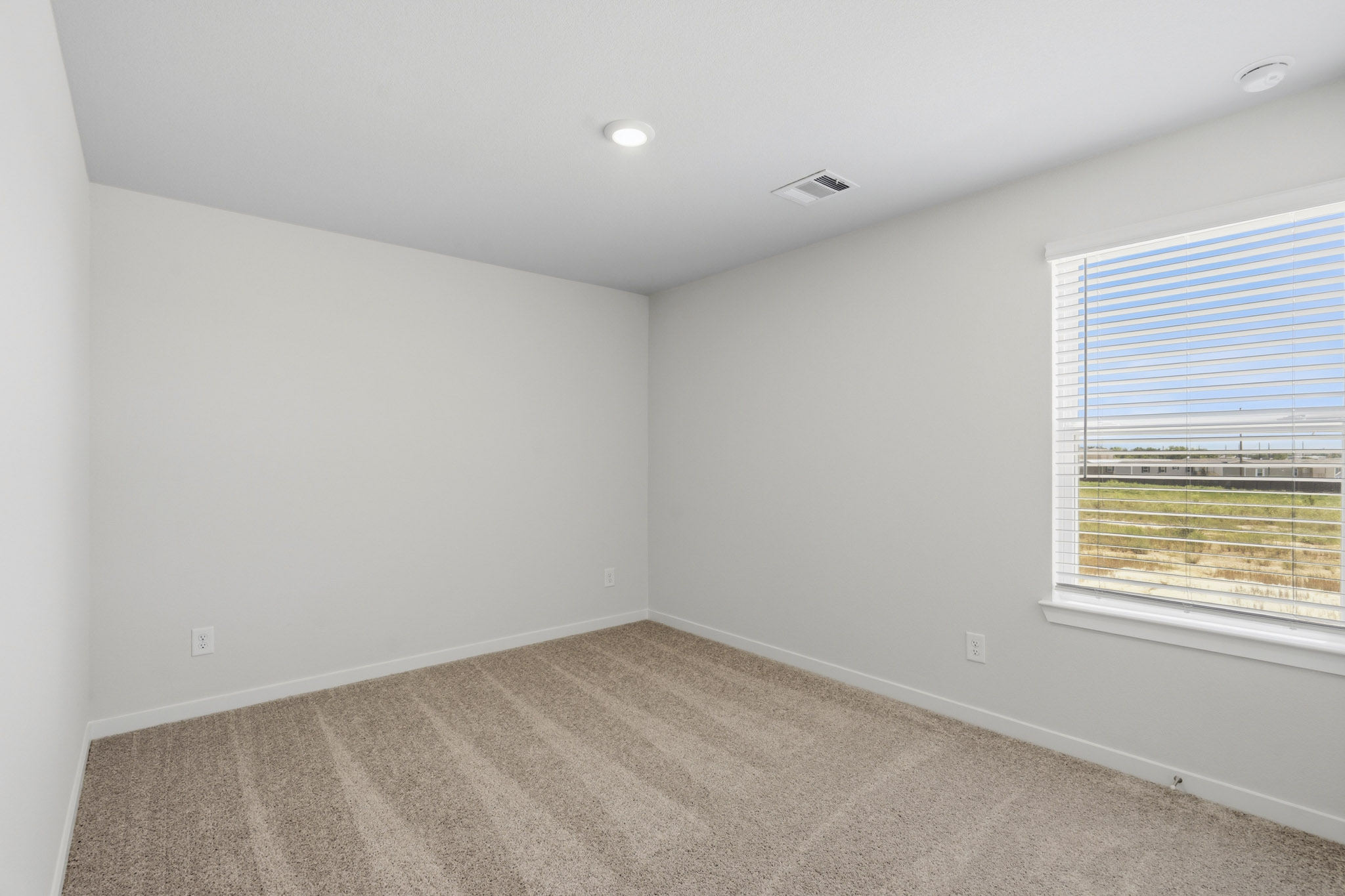 A room with a carpet and windows.