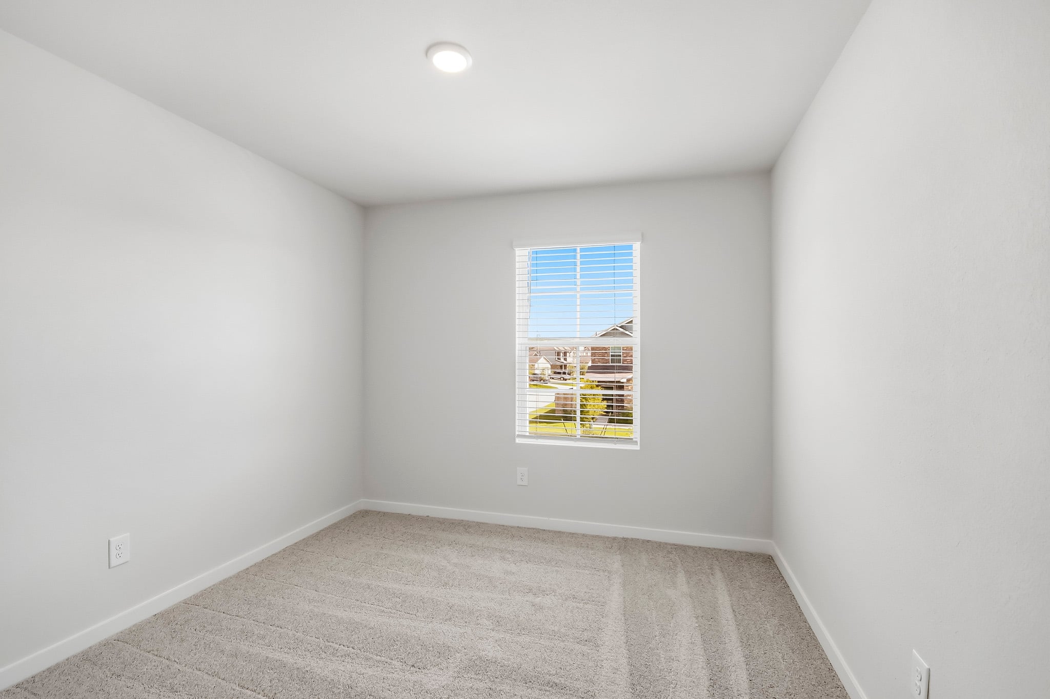 A room with a window and a rug.