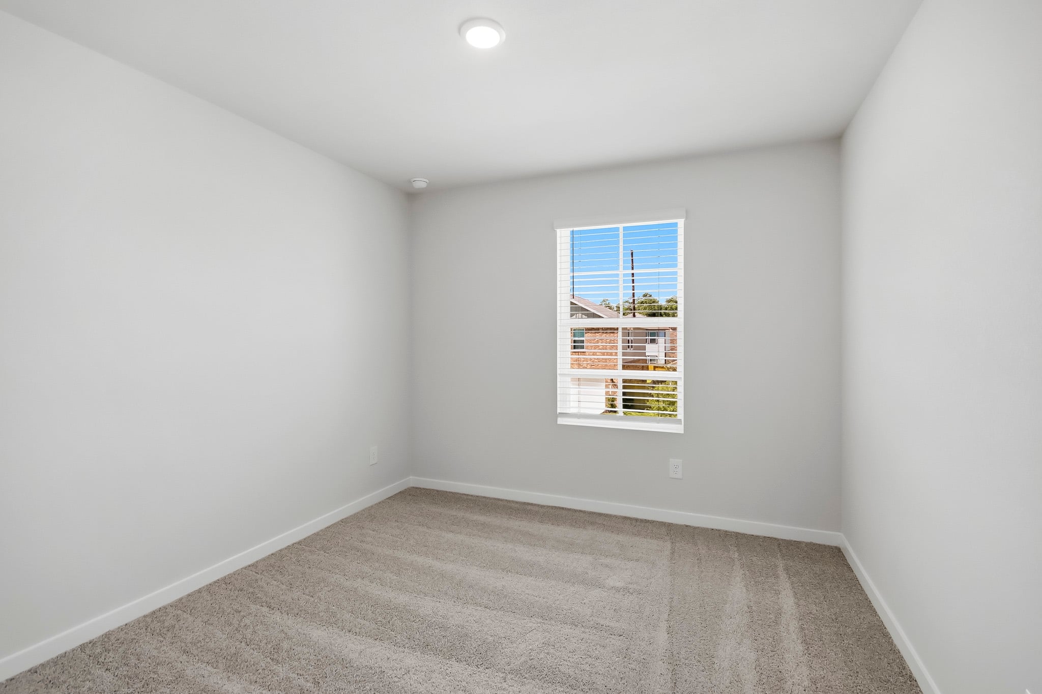 A room with a window and a rug.