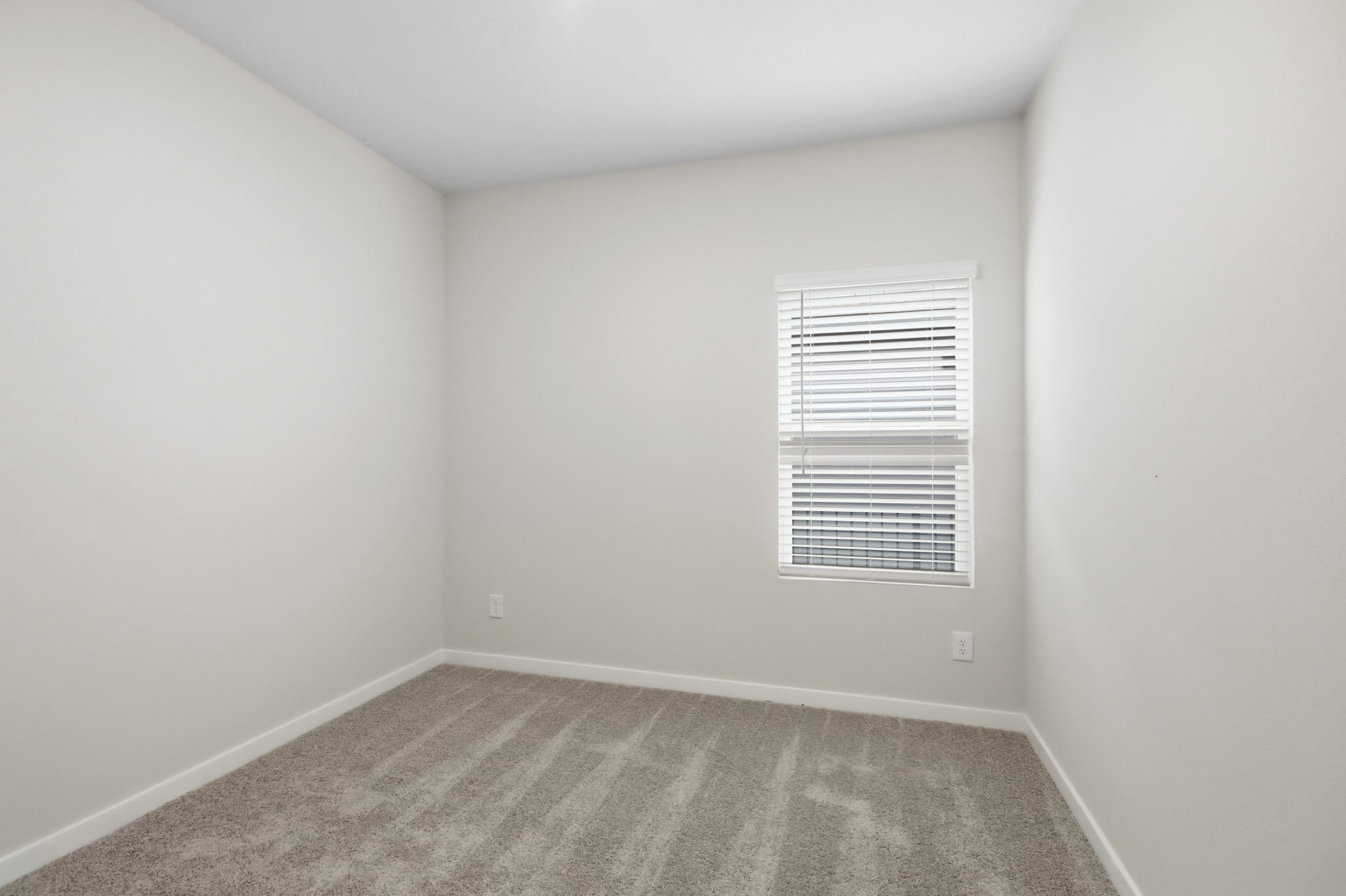 A room with a window and a rug.