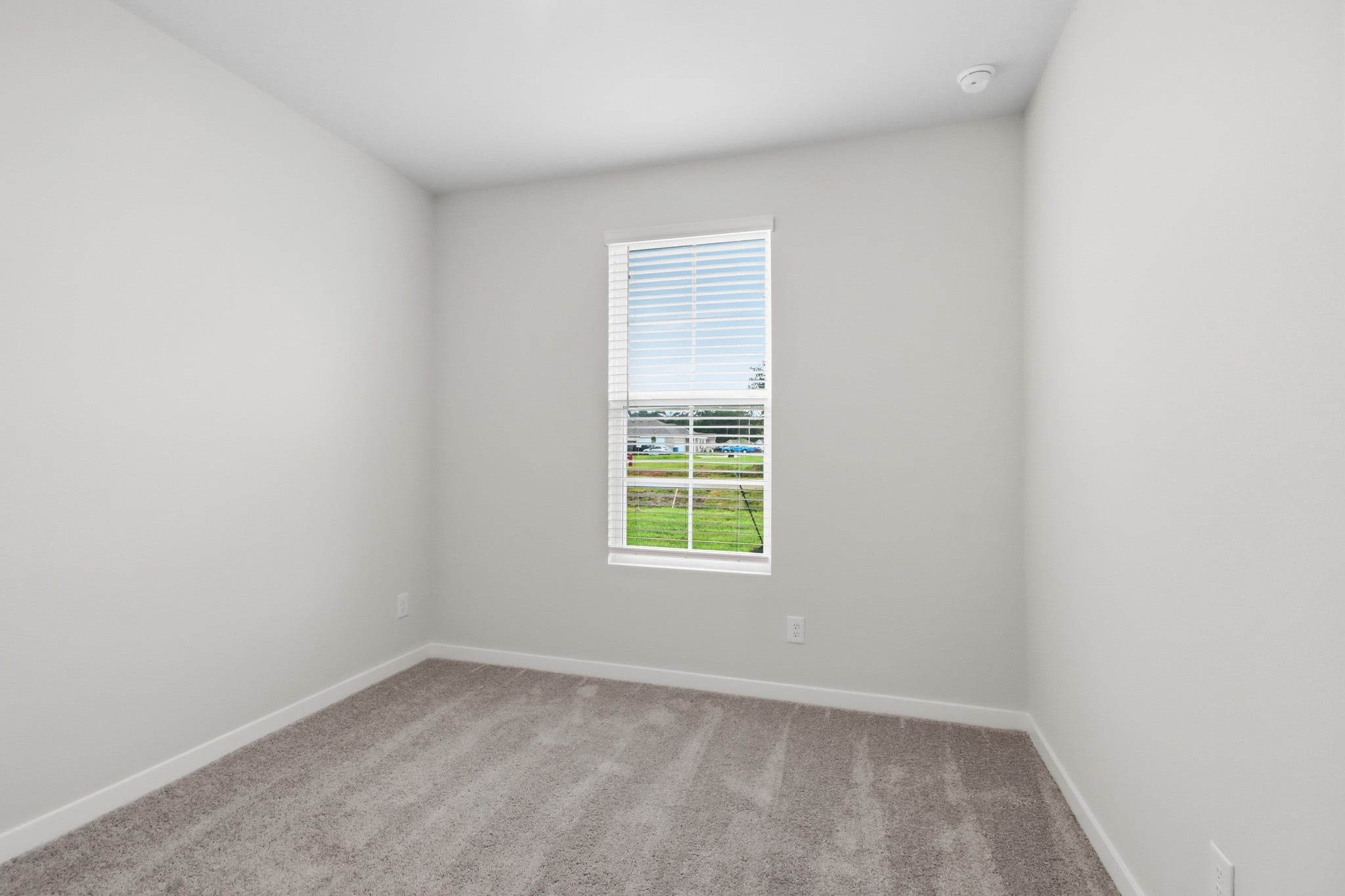 A room with a window and a rug.