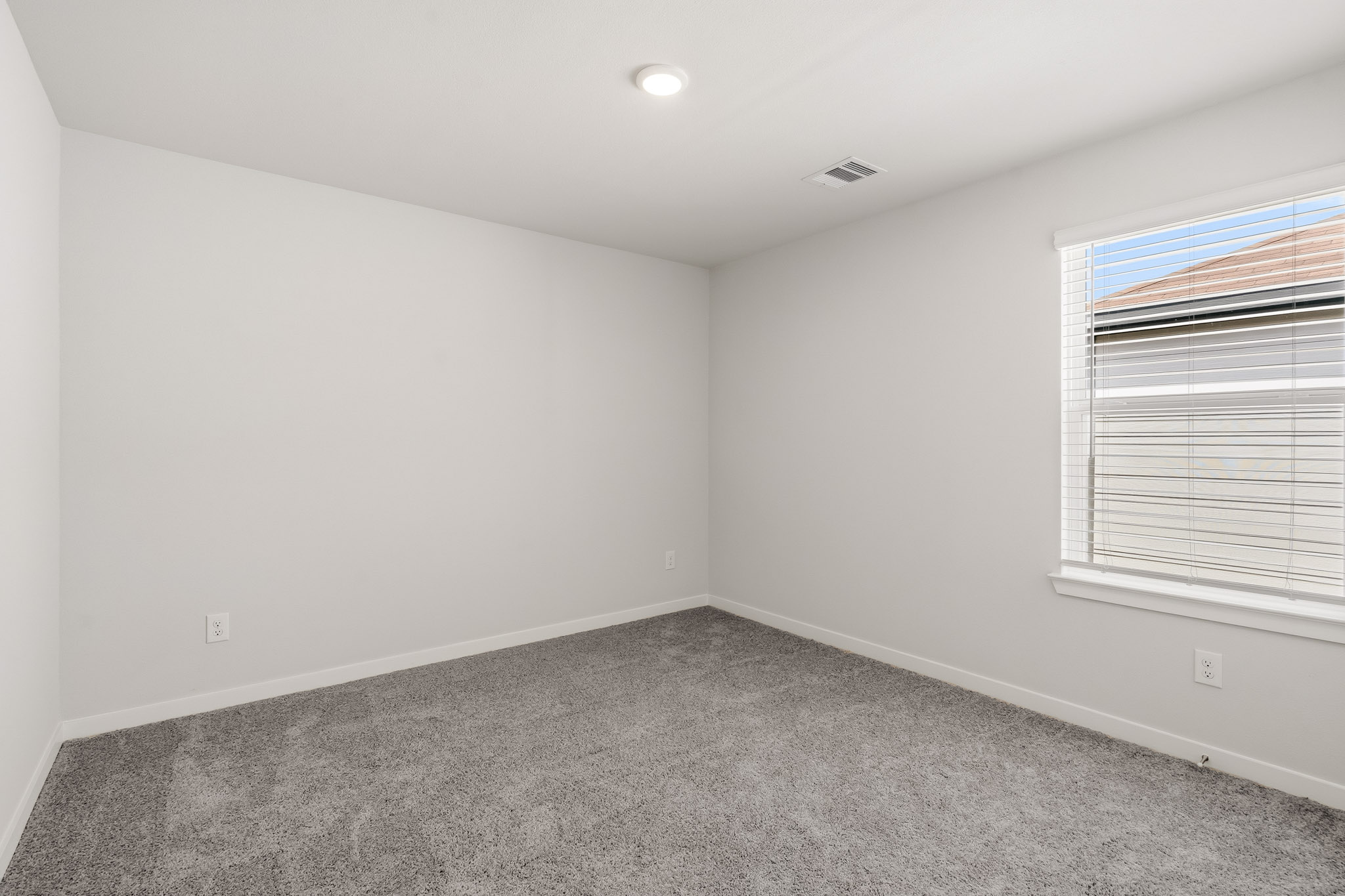 A room with a carpet and a window.