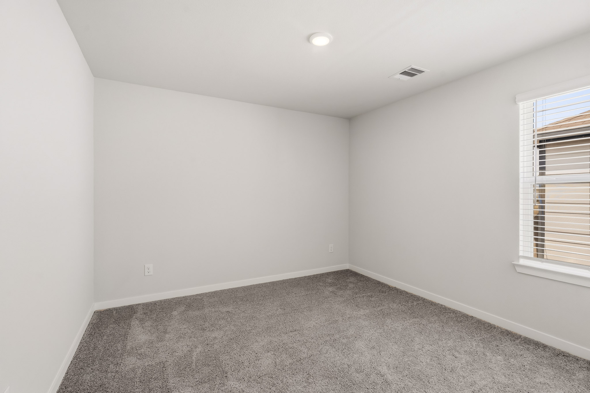 A room with a carpet and windows.