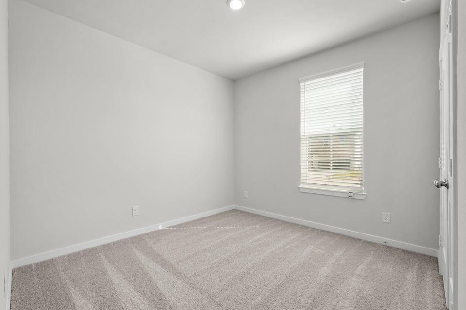 A room with a carpet and a window.