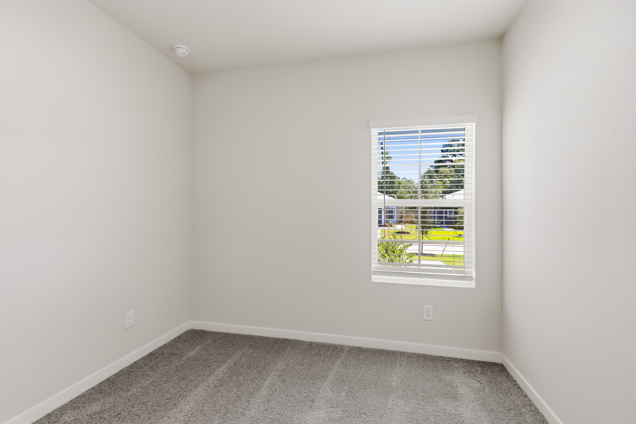 A room with a window and a carpet.