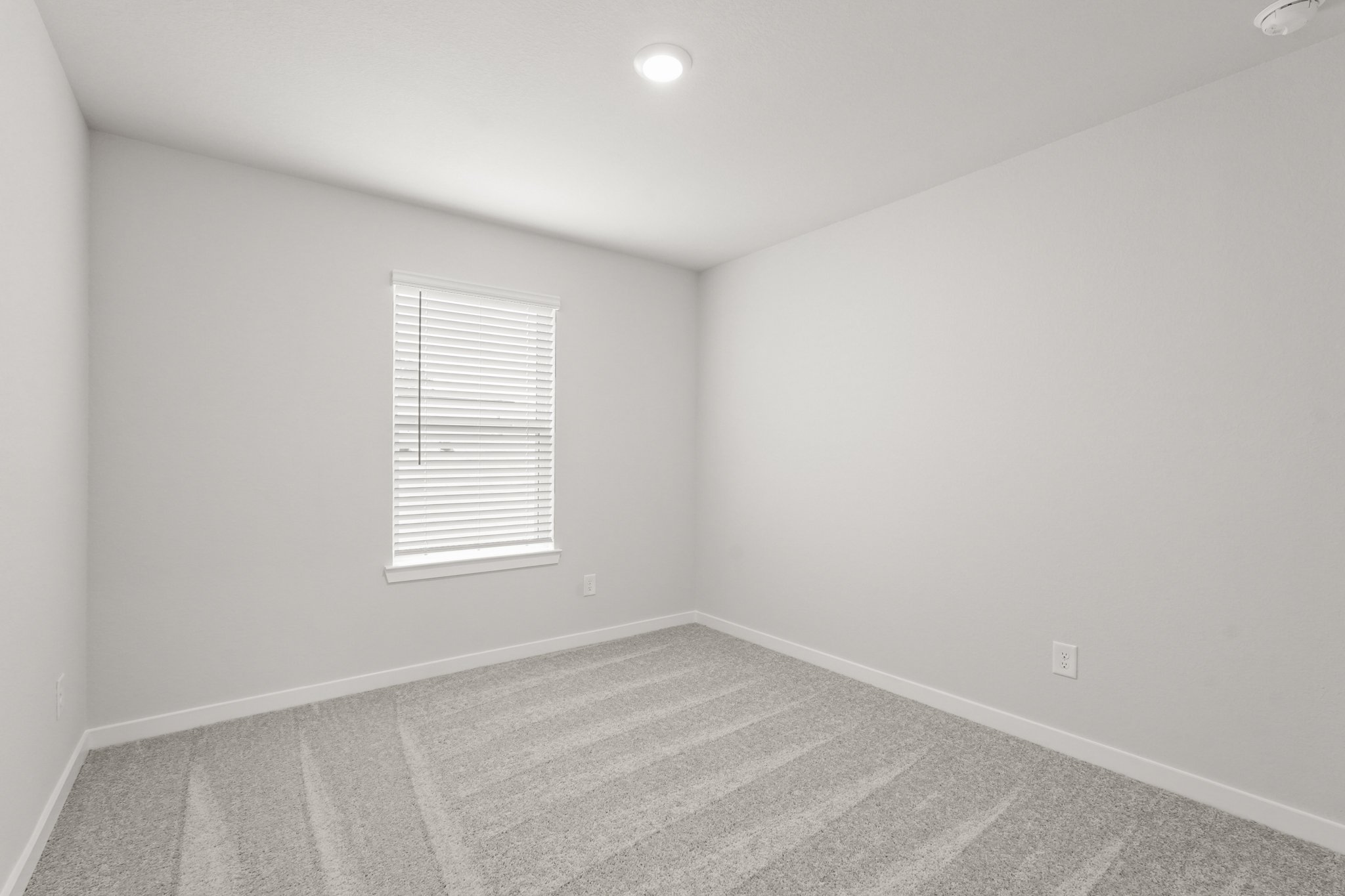 A room with a rug and a window.