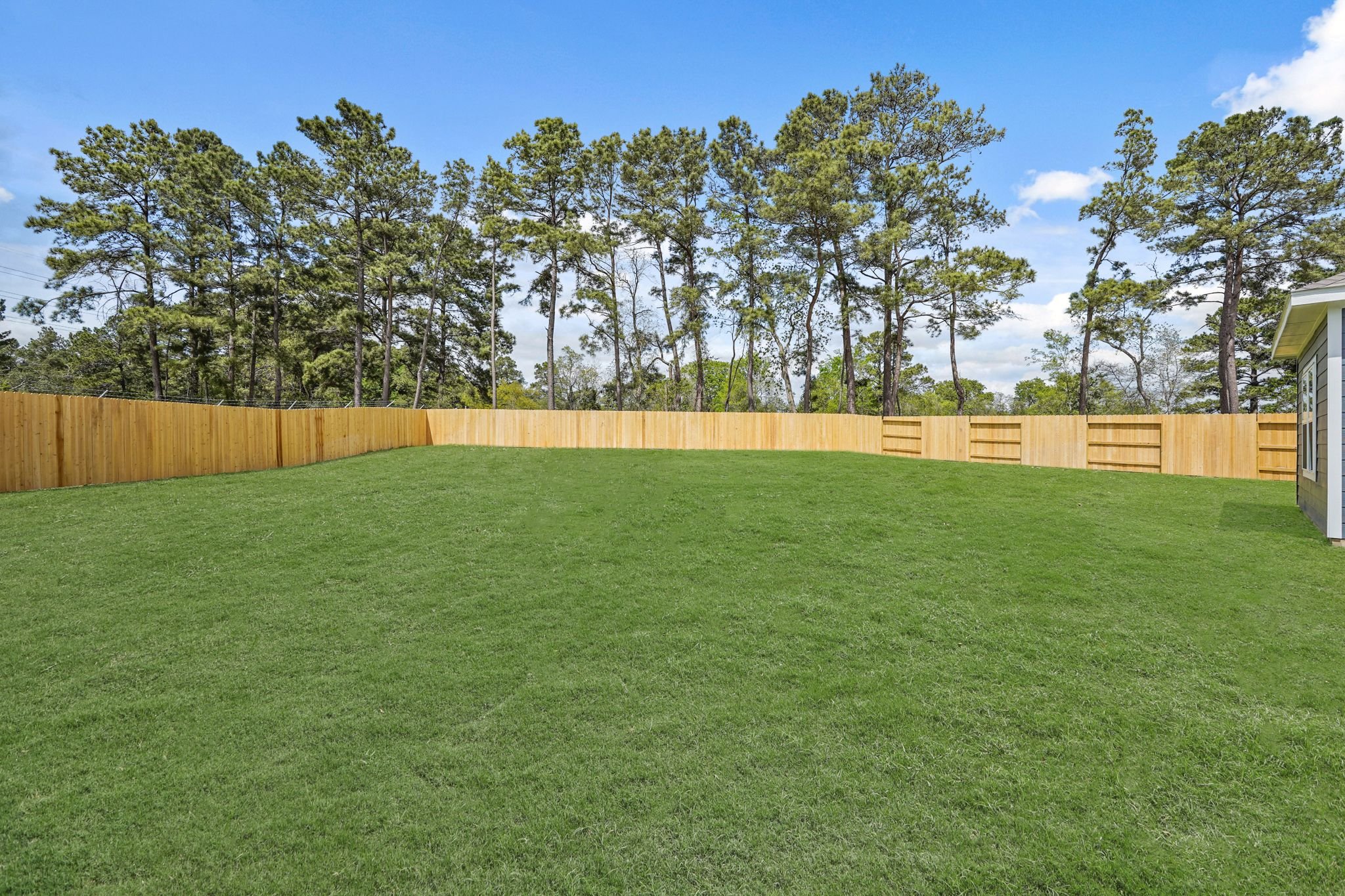 A green grass field.