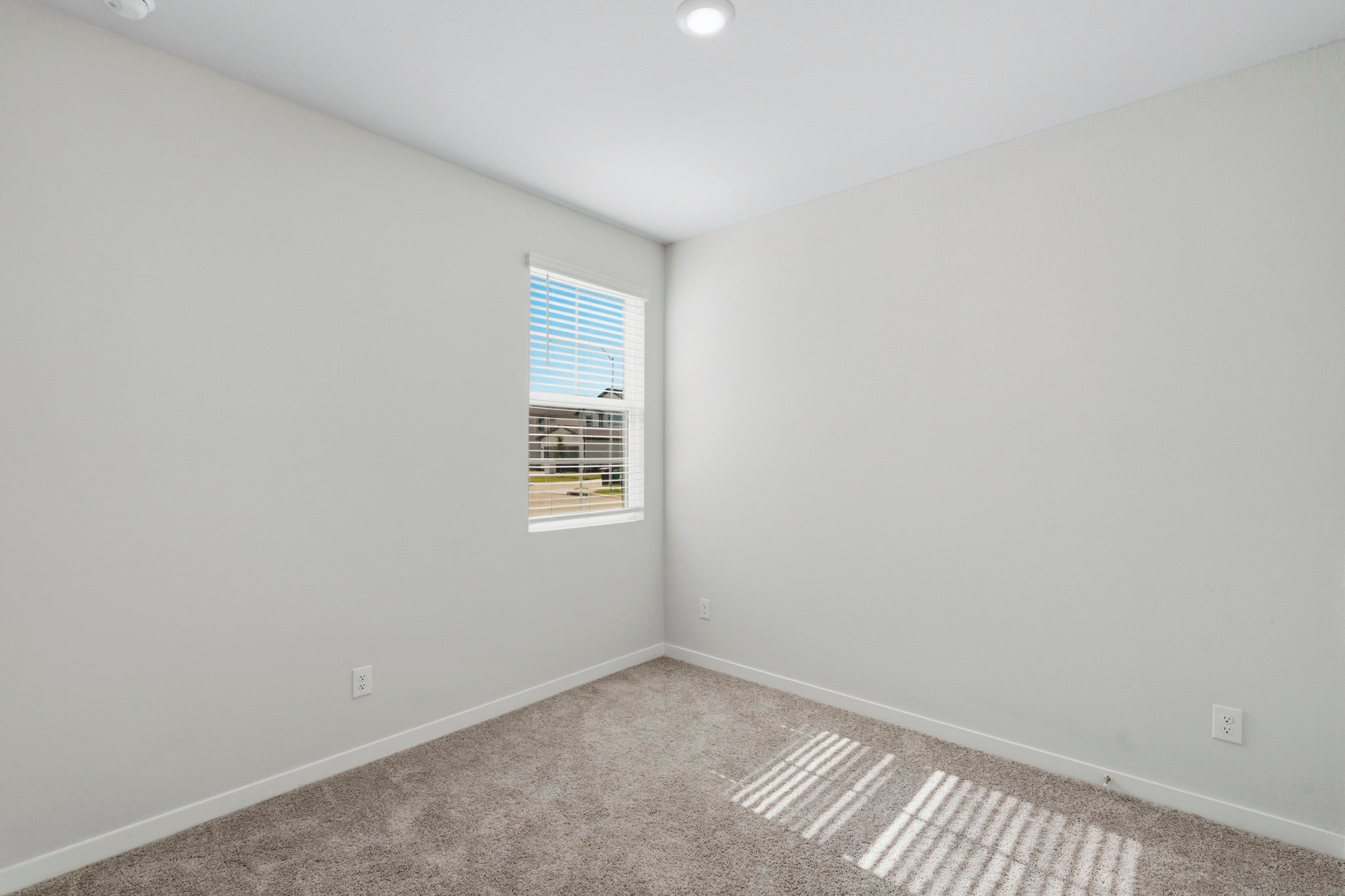 A room with a window and a rug.