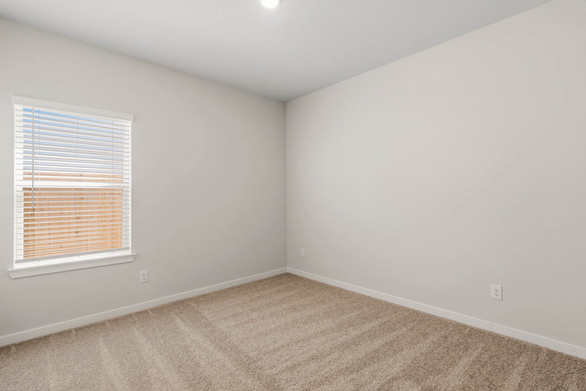 A room with a carpet and a window.