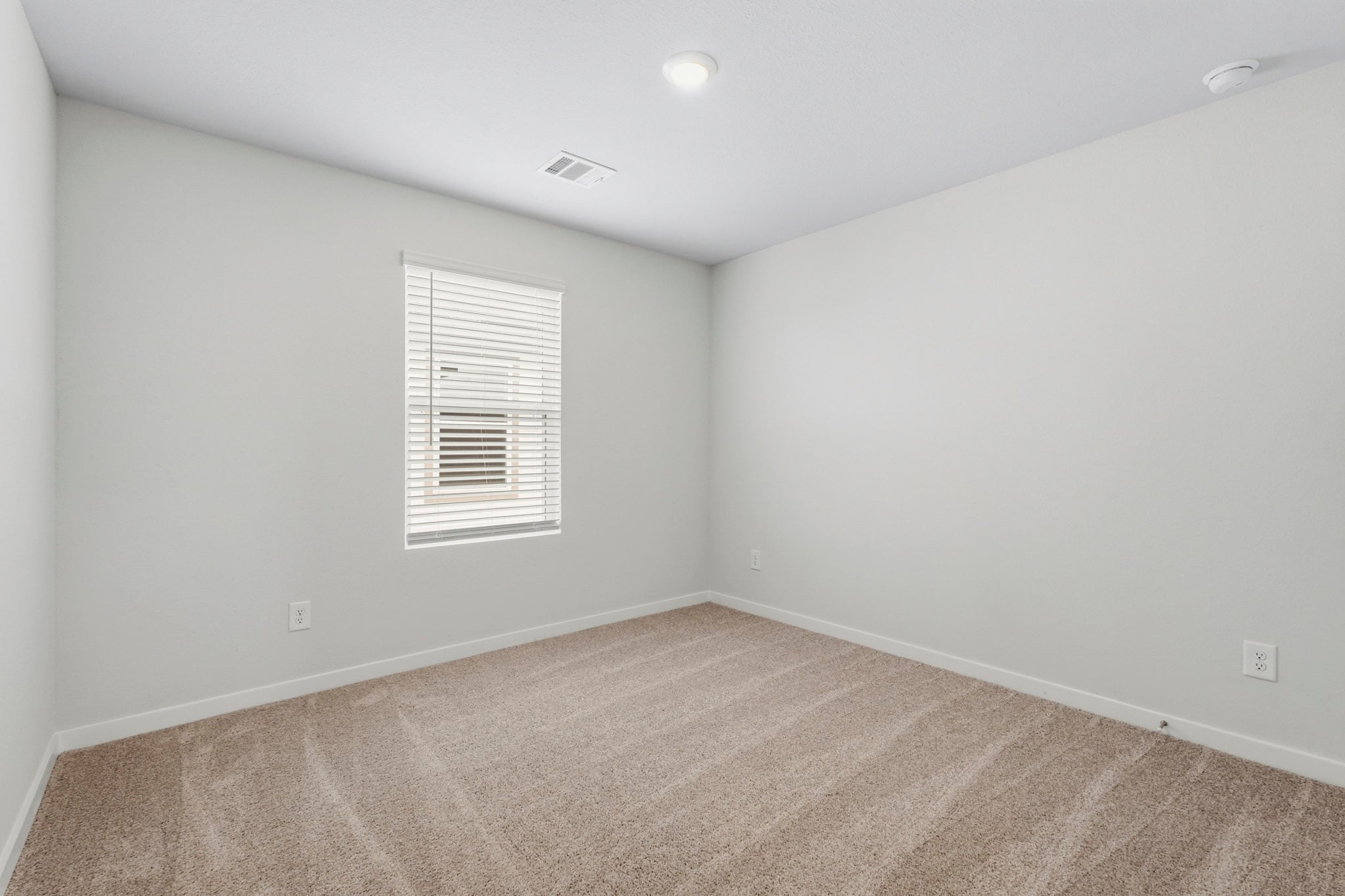 A room with a carpet and a window.