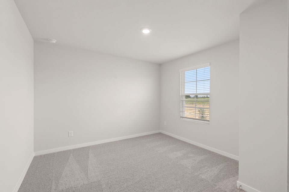 A room with a carpet and a window.