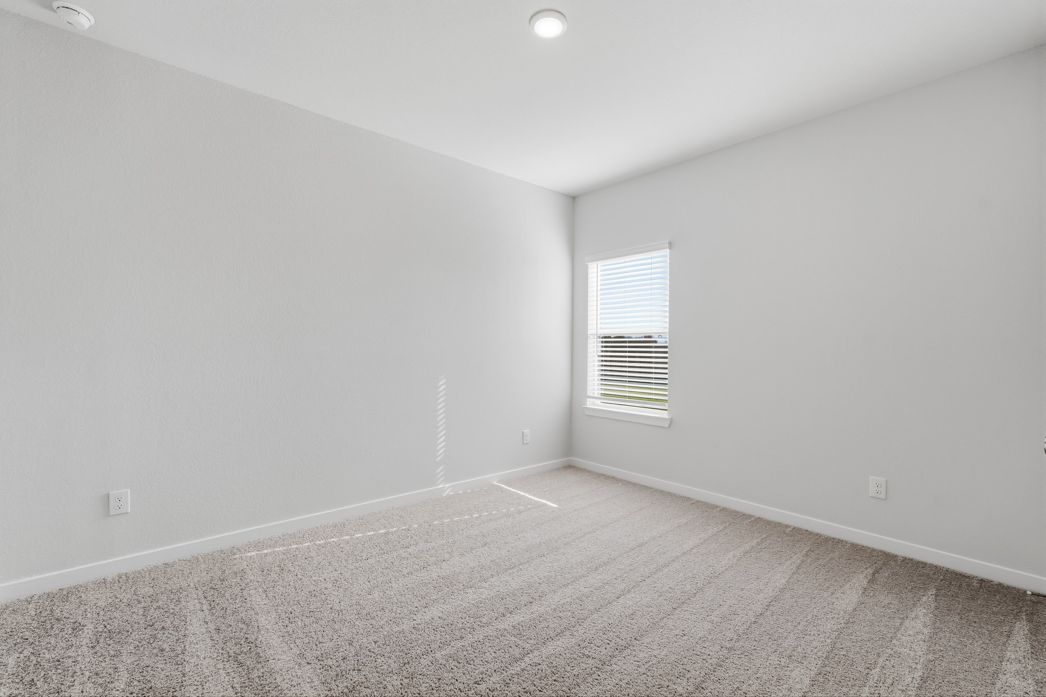 A room with a carpet and a window.
