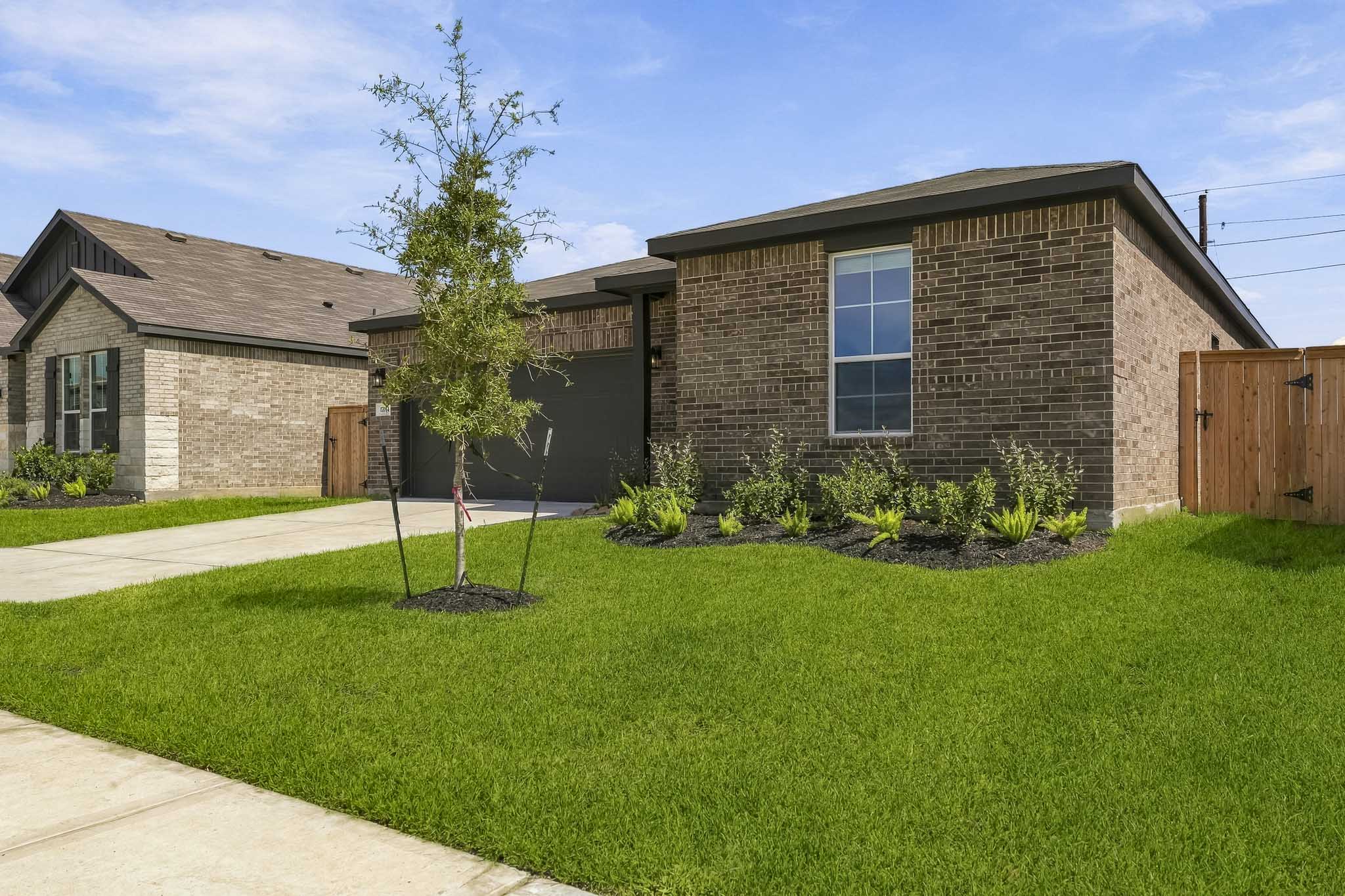 A house with a tree in the front yard.
