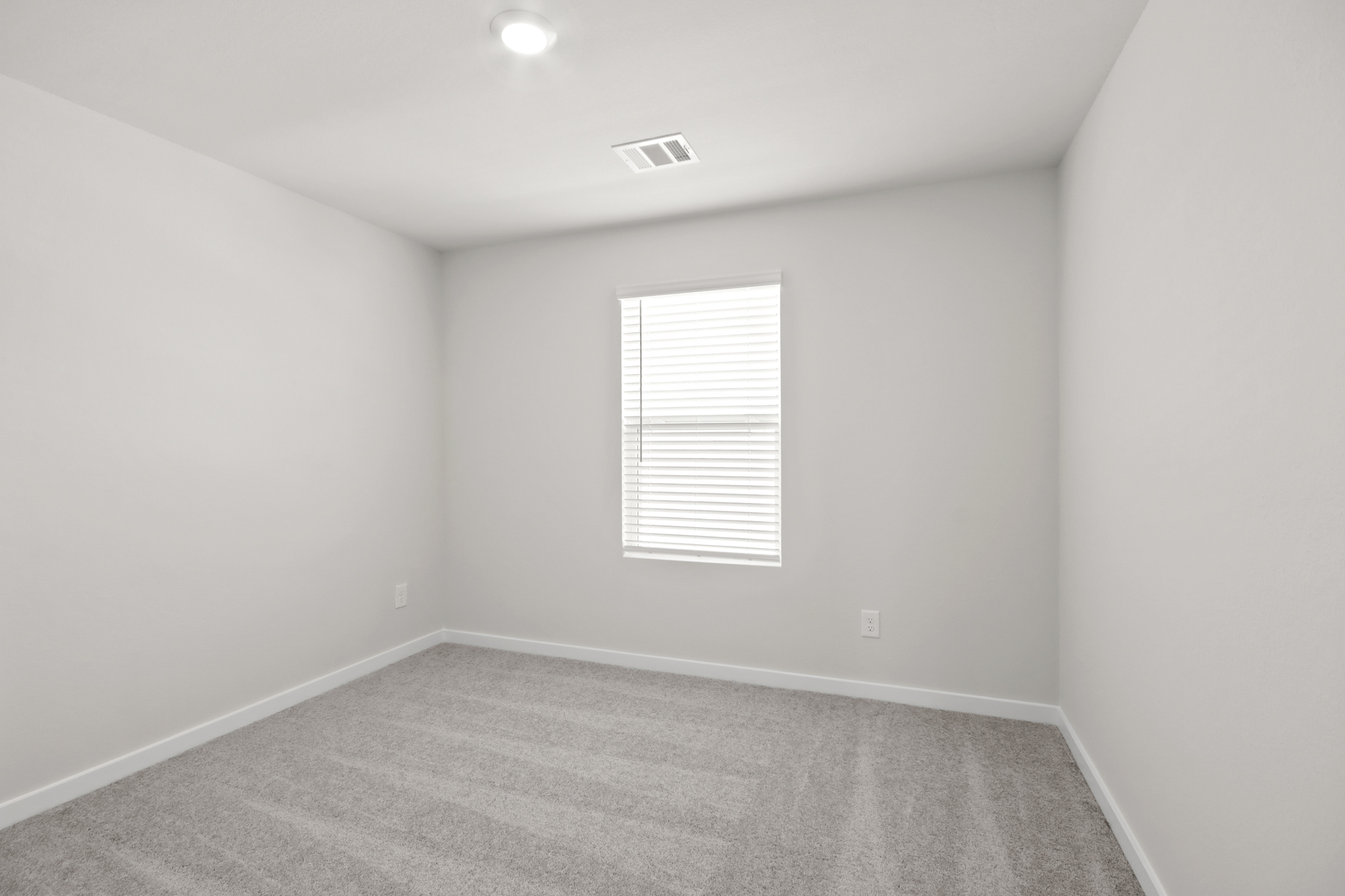 A room with a carpet and a window.