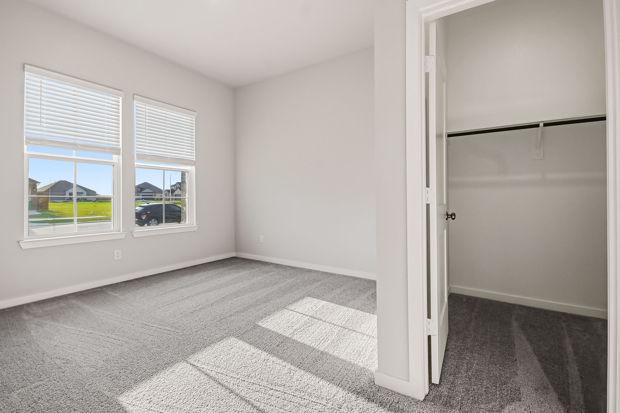 A room with a rug and windows.