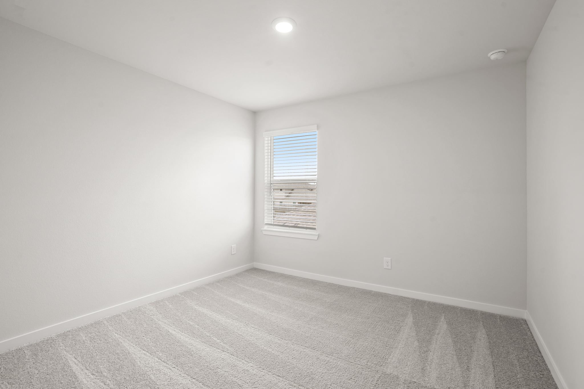 A room with a carpet and a window.