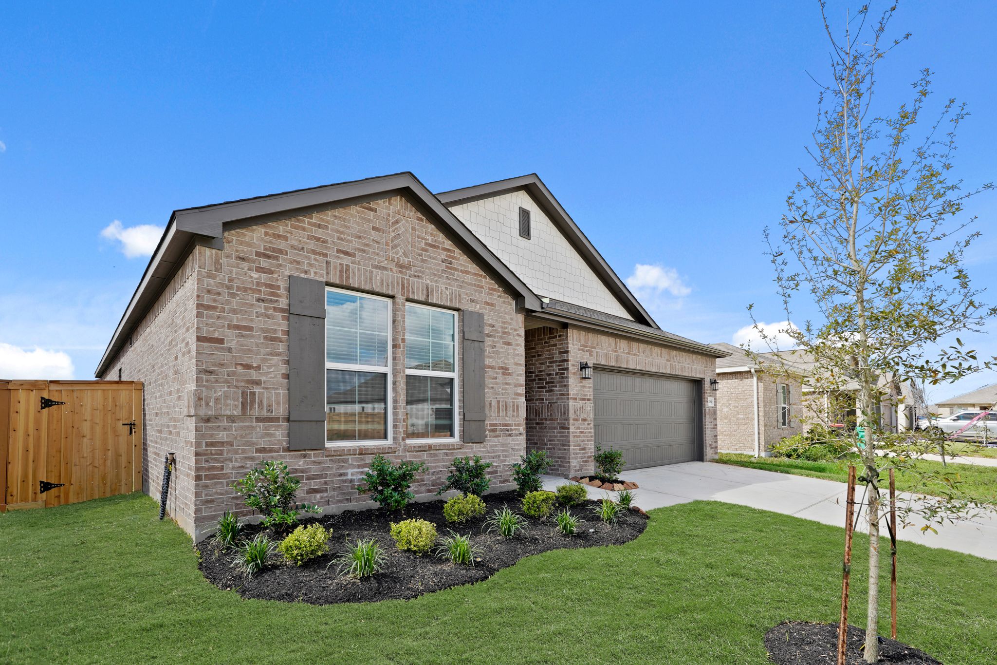 A house with a yard and a tree in the front.