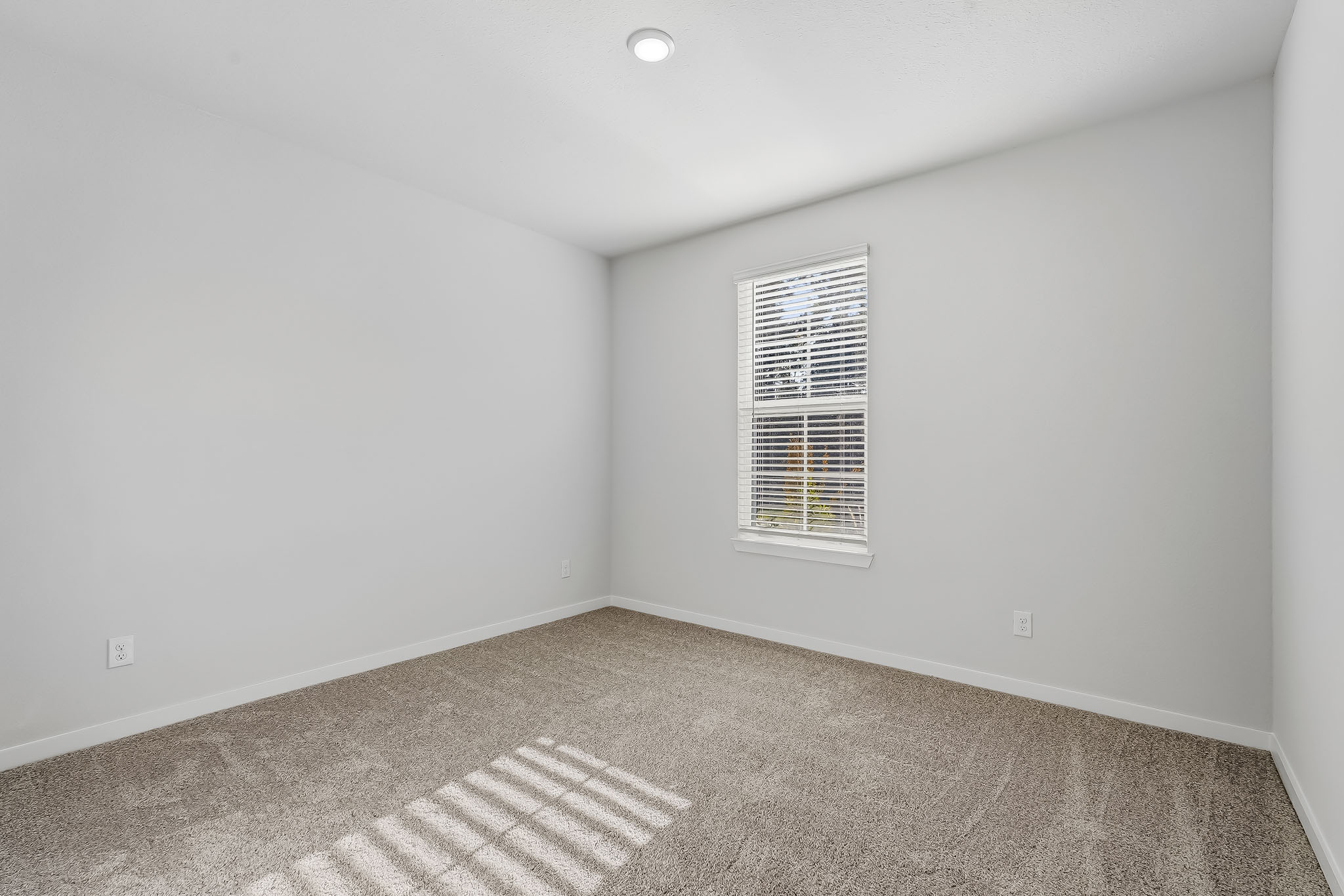 A room with a rug and a window.
