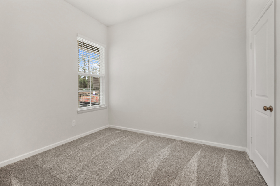 A room with a window and a rug.