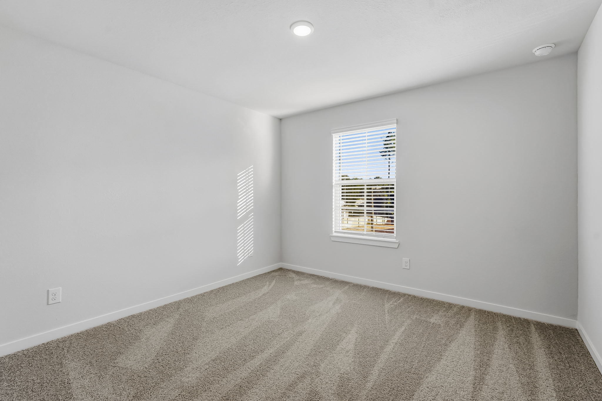 A room with a window and a carpet.