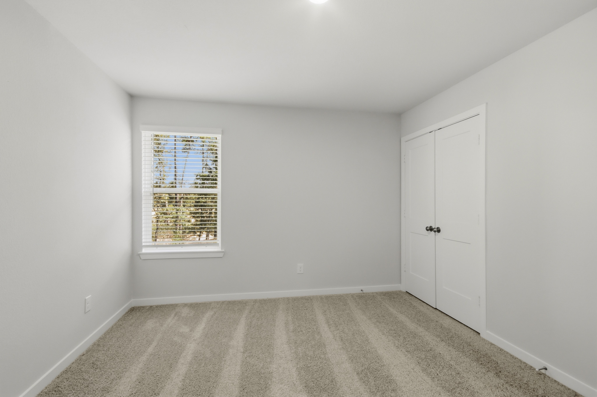 A room with a window and a rug.
