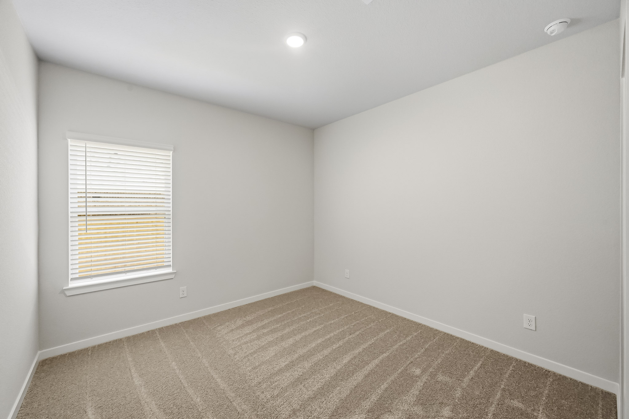 A room with a window and a rug.