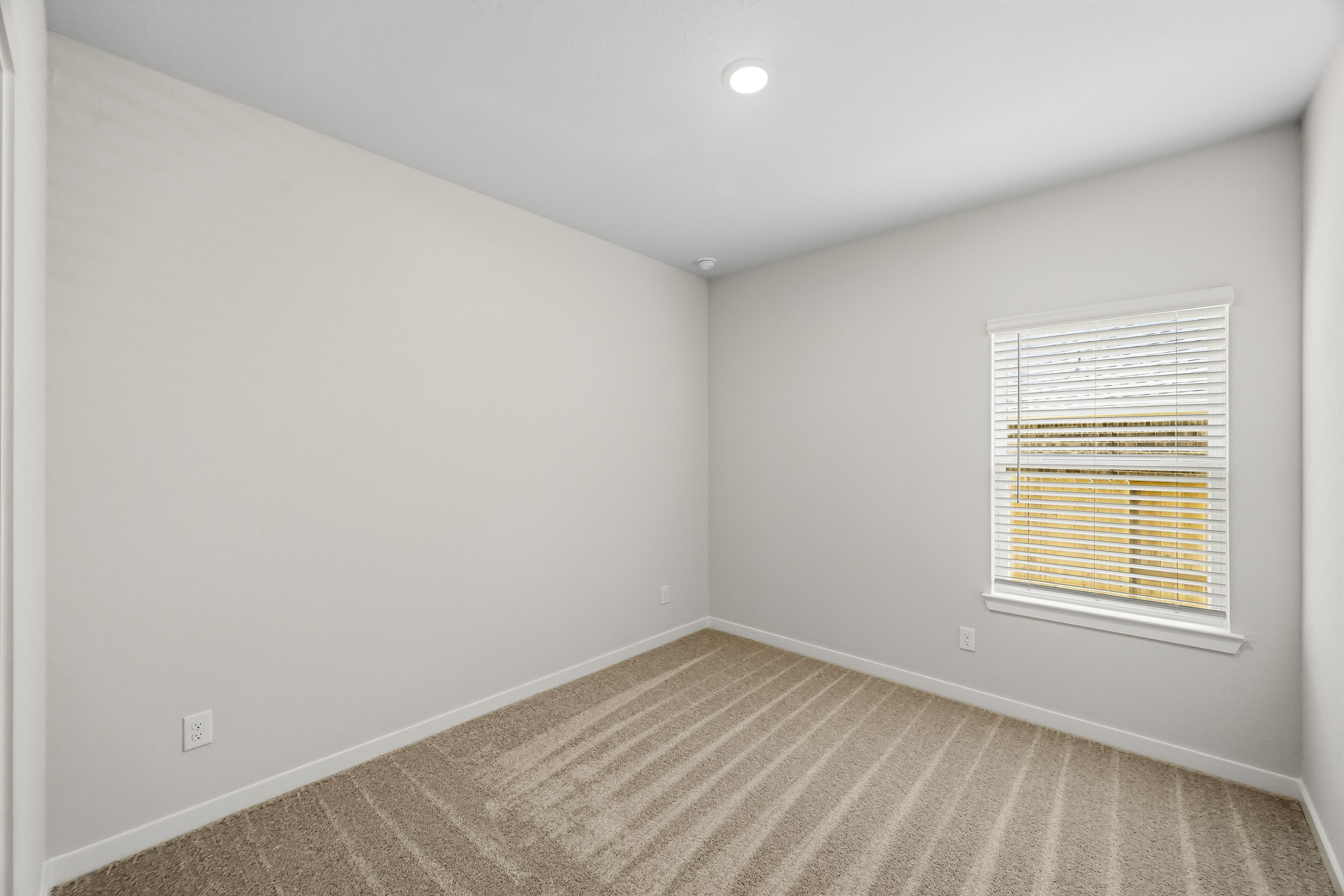 A room with a window and a rug.