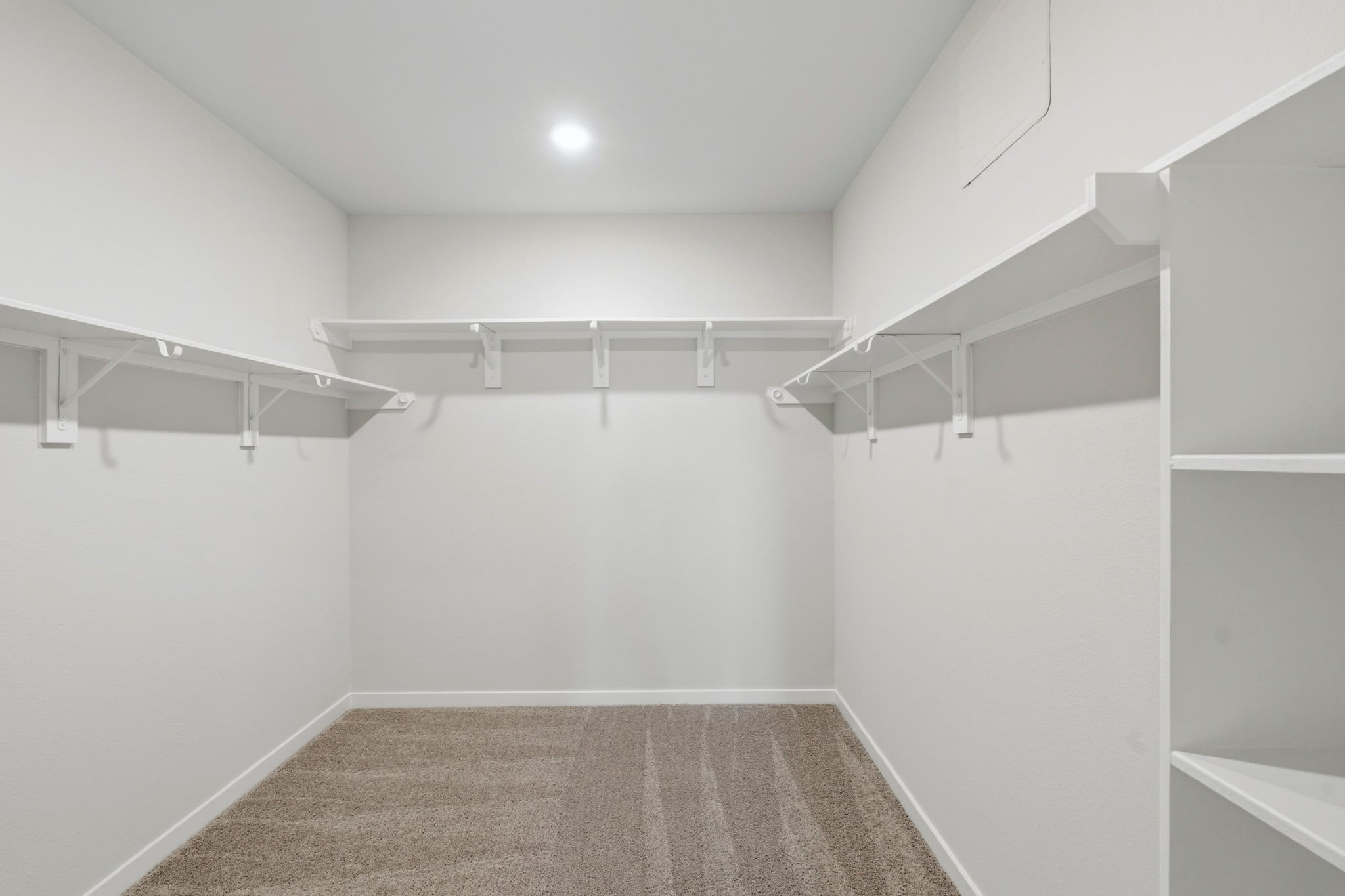 A white room with a carpet.