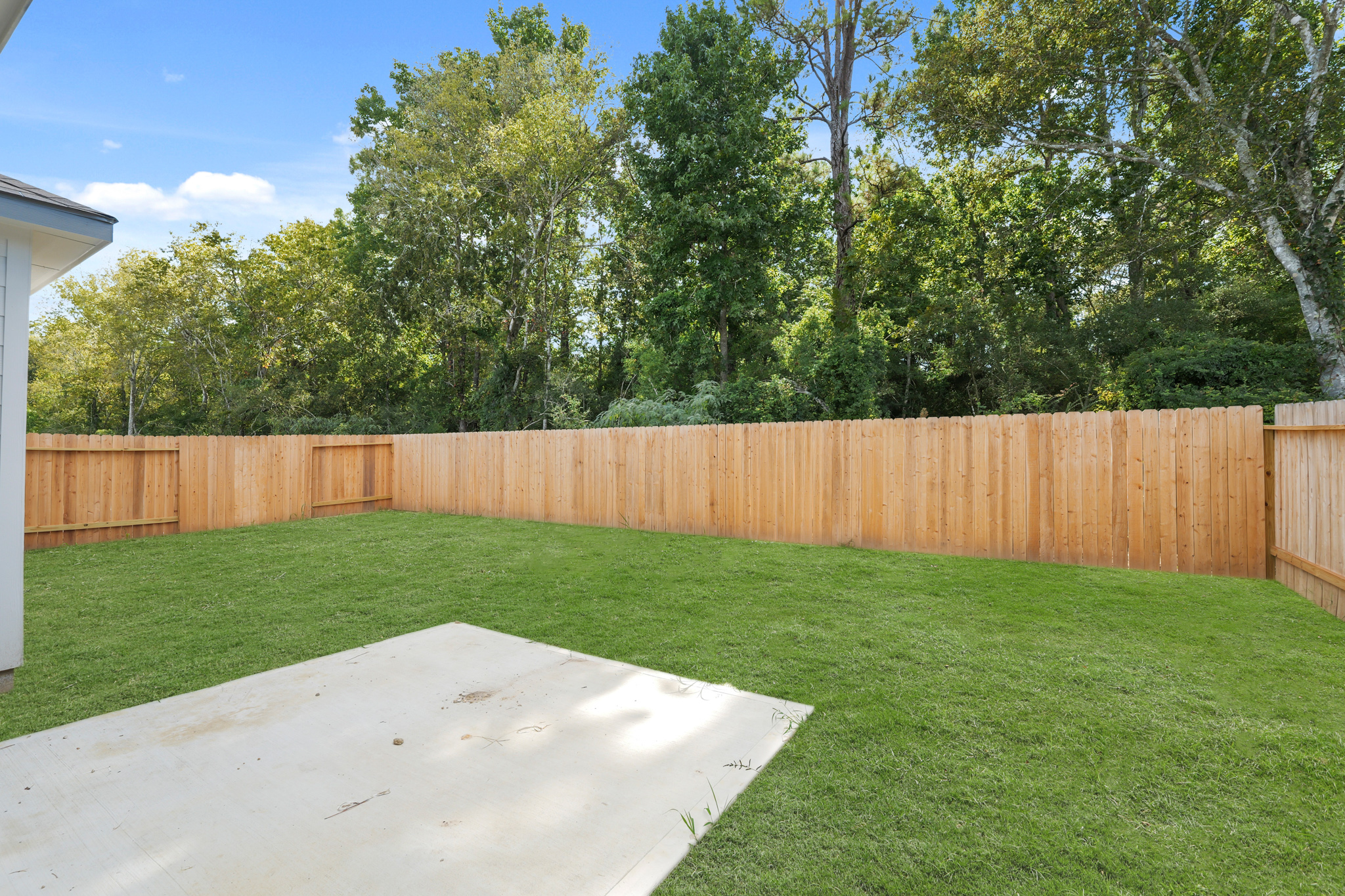 A fenced in yard with trees.