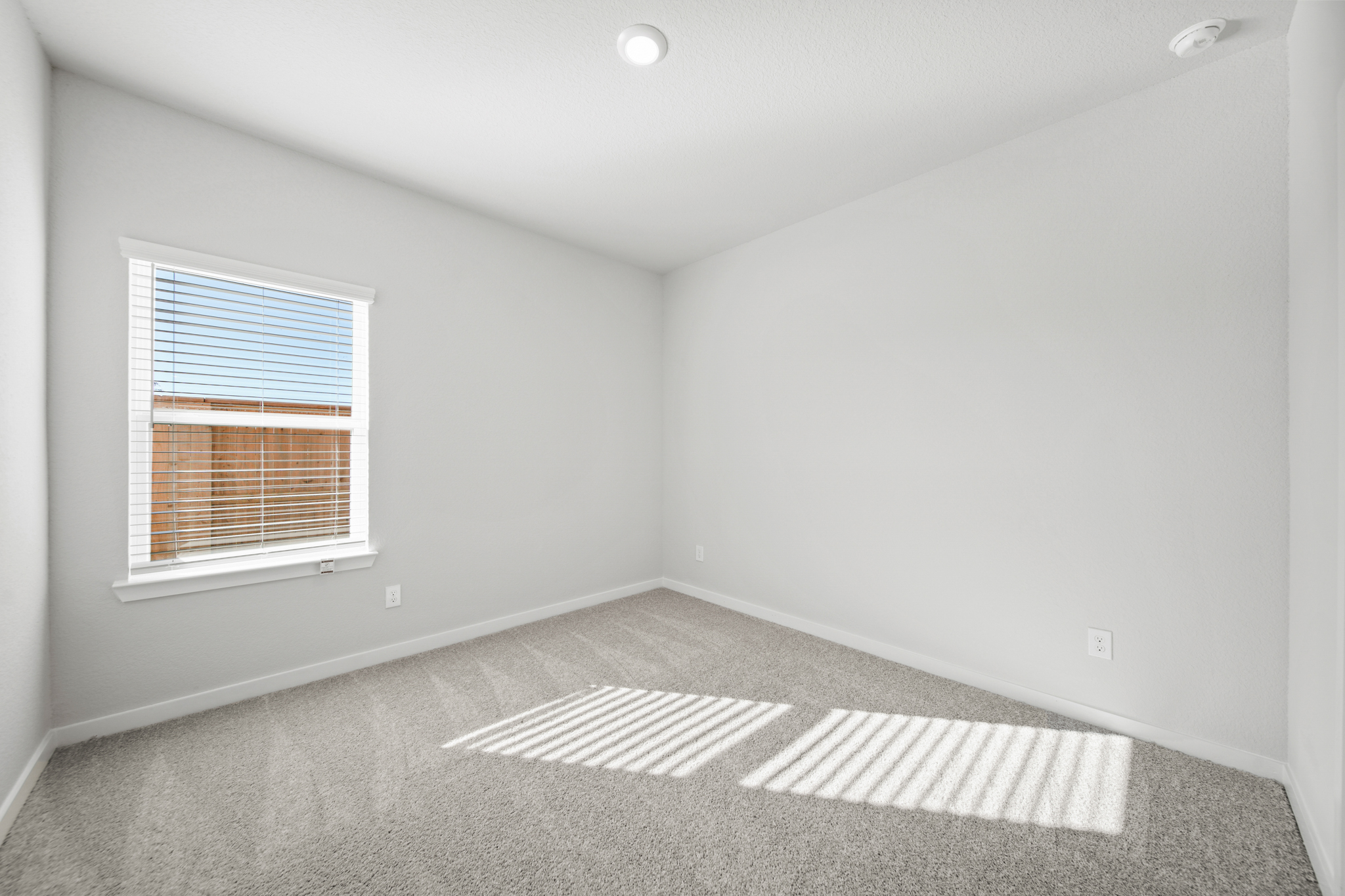 A room with a rug and a window.