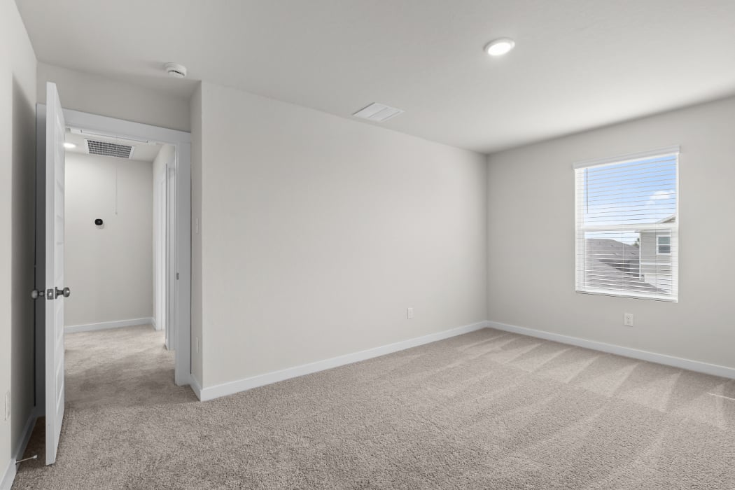 A room with a carpet and a door.