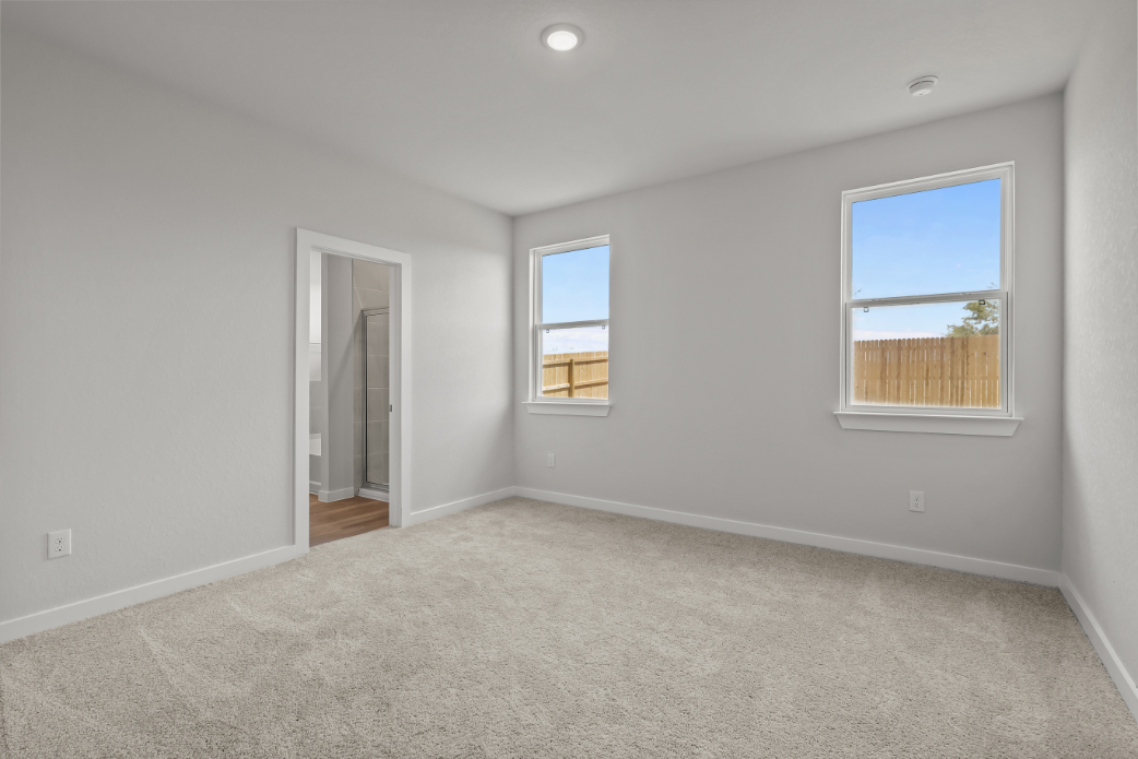 A room with a carpet and windows.