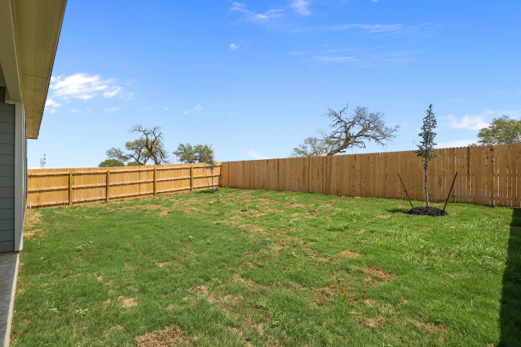 A fenced in yard with a tree and a wood fence.