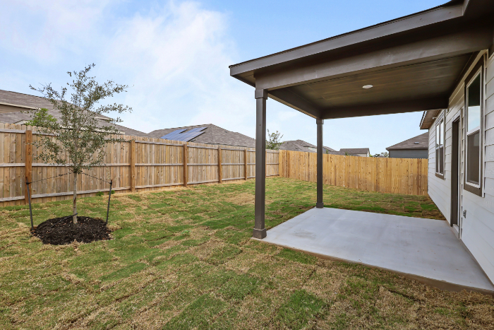 A backyard with a trampoline and a tree.