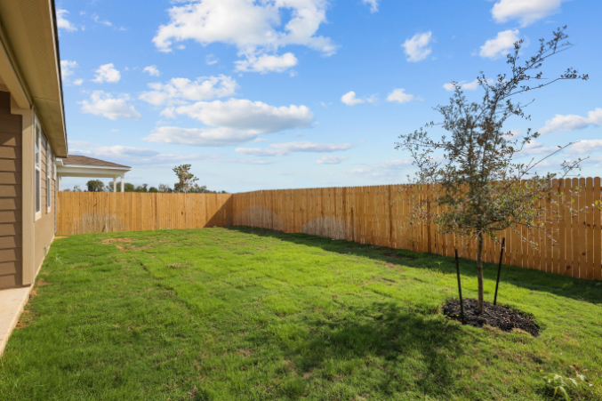 A backyard with a fence and a tree.