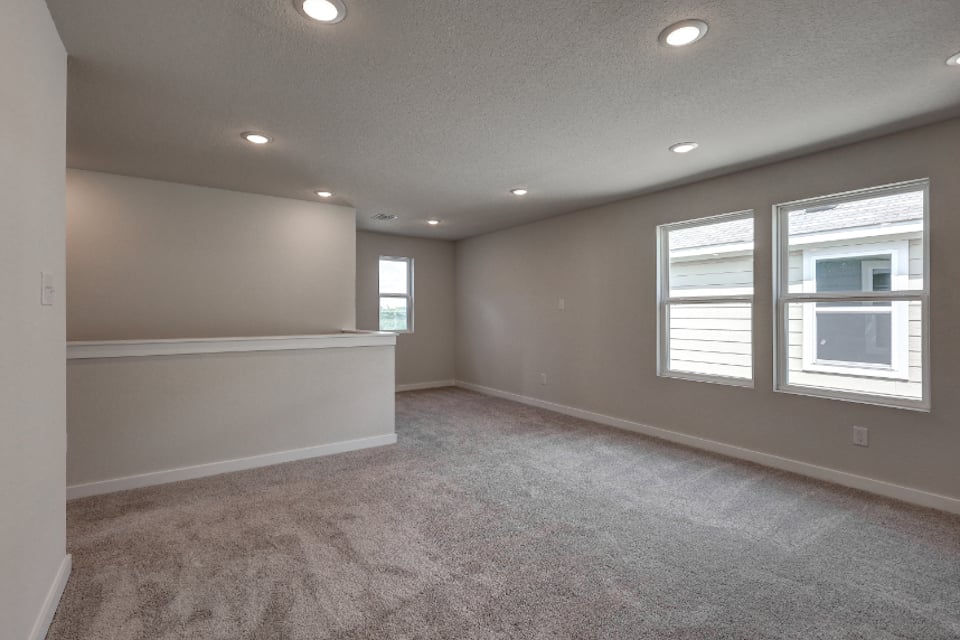 A room with a carpet and windows.