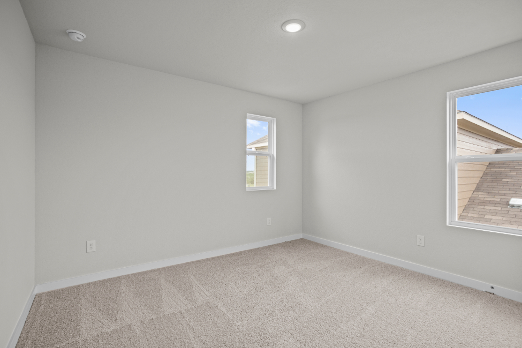 A room with windows and a carpet.