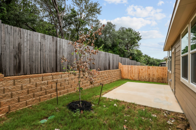 A backyard with a fence and a tree.