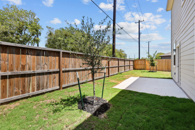 A fenced in yard with a tree and a house.
