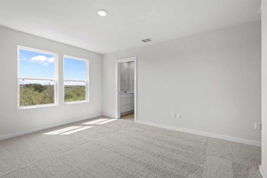 A room with a carpet and windows.