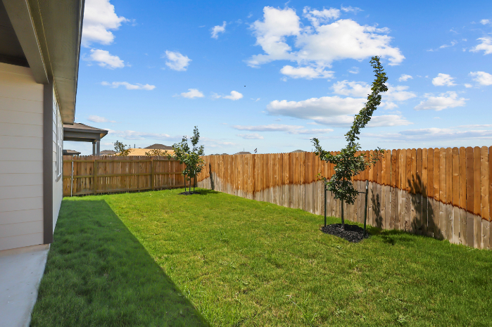 A backyard with a fence and trees.