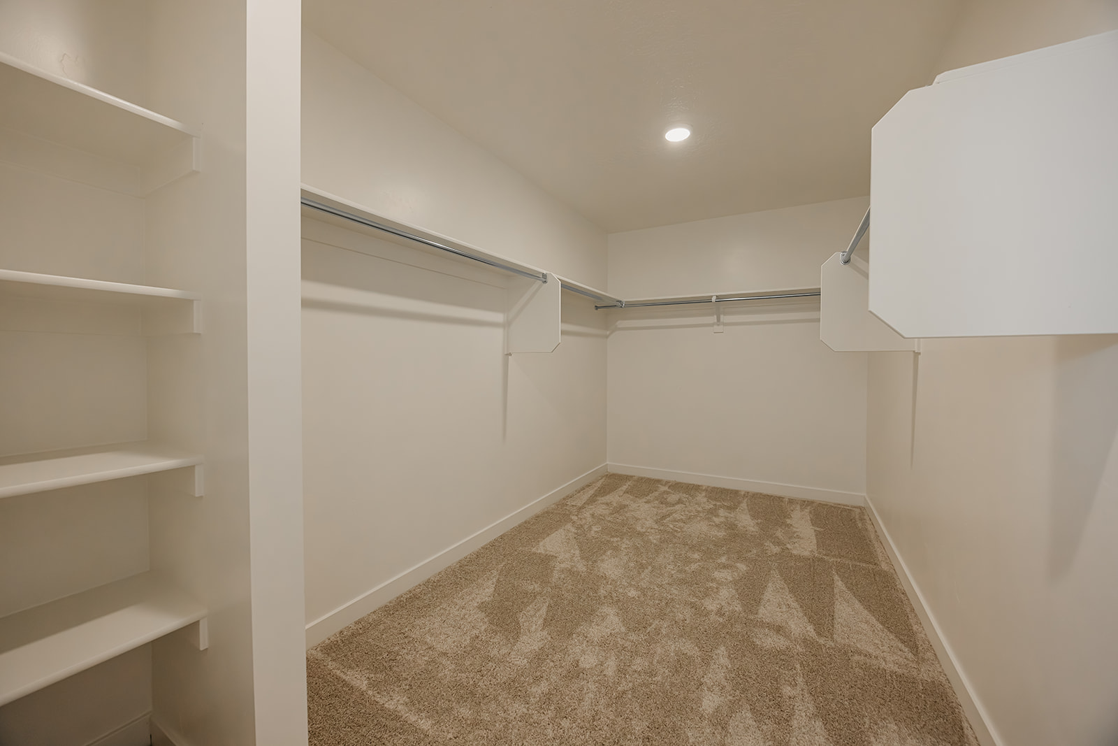 A room with a rug and a door.