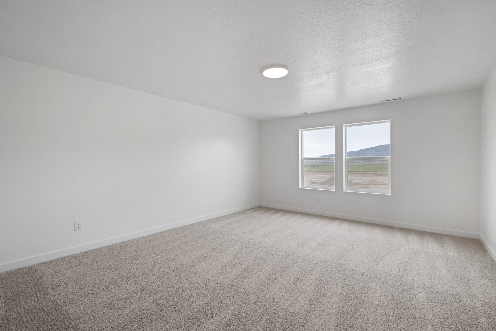 A room with a carpet and windows.