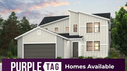 A house with trees in the back.