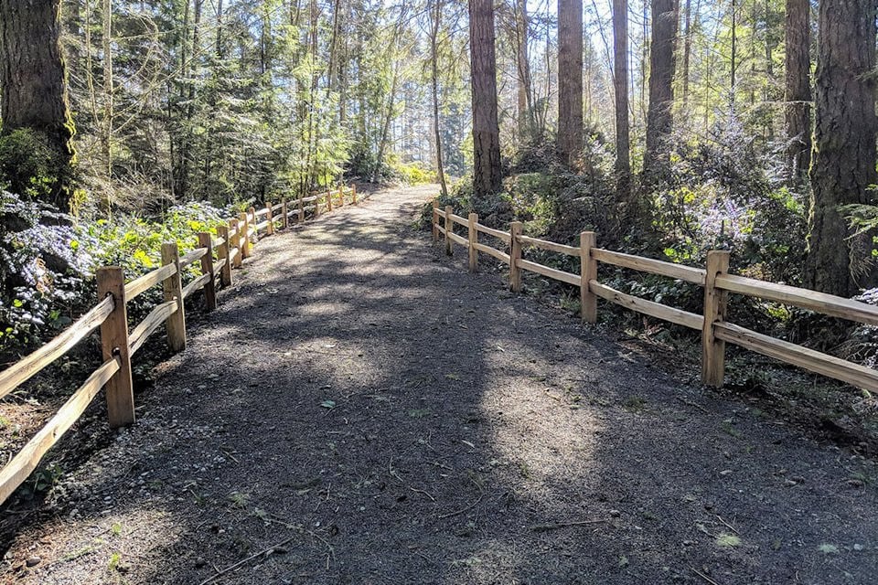 A path in the woods.