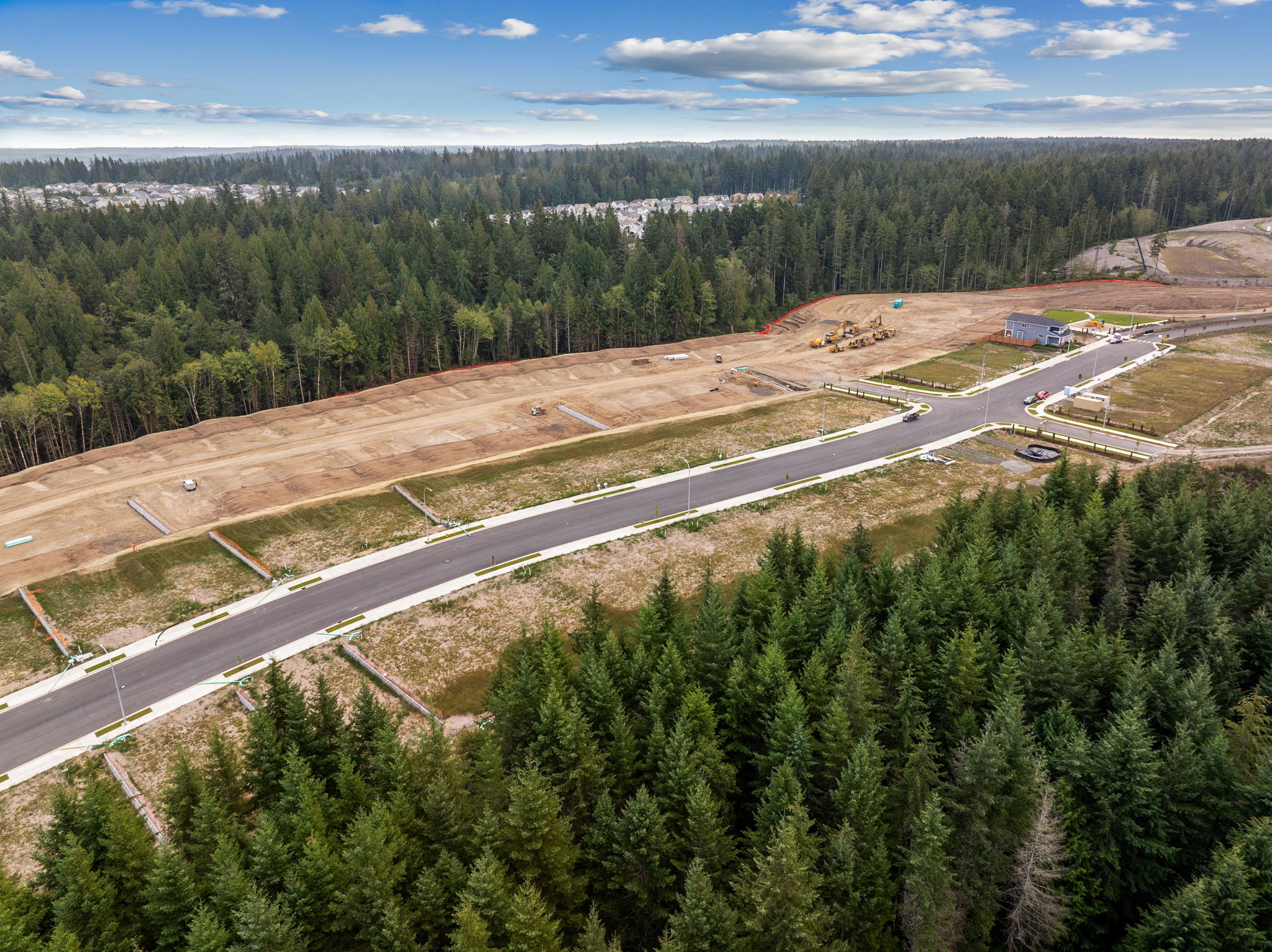 A road with trees and a road.