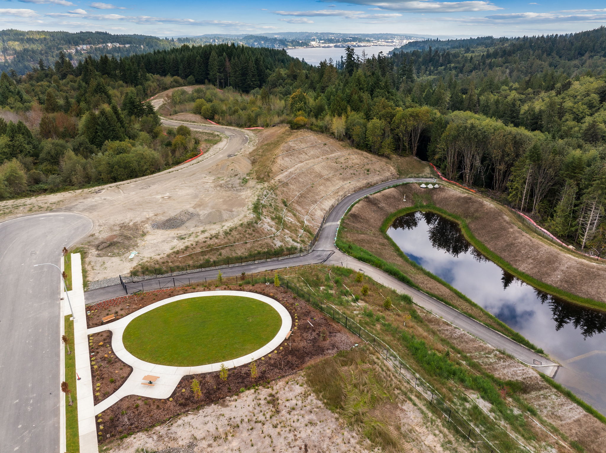 A road with a pond and trees.